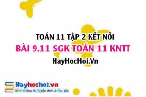 Bài 9.11 SGK Toán 11 Tập 2 Kết nối tri thức